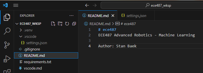 _images/VSCode_Configured.png