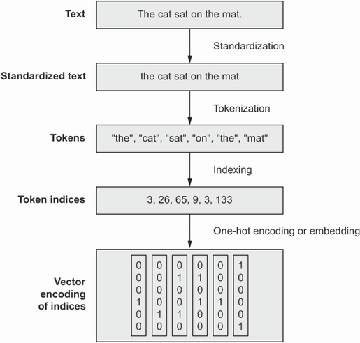 From raw text to vectors, Deep Learning with Python, 2nd Ed, fig. 11.1